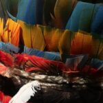 Coiffe-masque olok. Peuple Wayana, Ismoon via Wikimedia commons